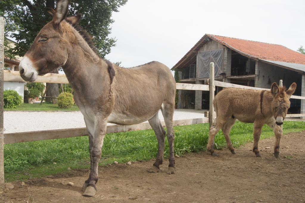 הוילה Gaiarine Agriturismo Richeton מראה חיצוני תמונה